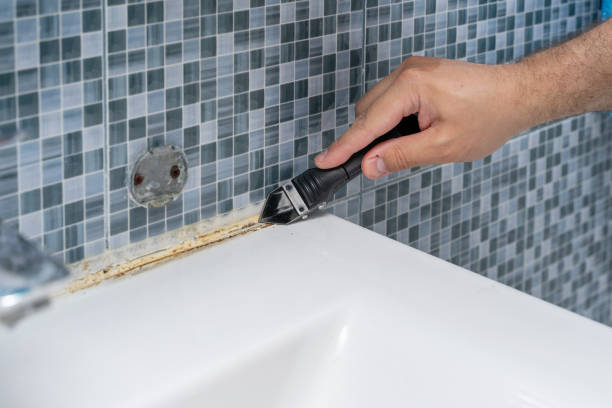 Best Residential Mold Removal  in Northvale, NJ