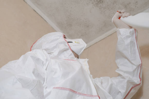 Best Crawl Space Mold Removal  in Northvale, NJ